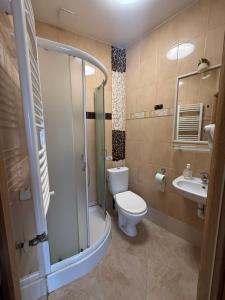 a bathroom with a toilet and a shower and a sink at Kuźnia Międzylesie in Międzylesie