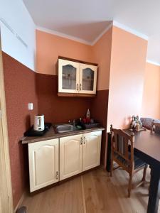 a small kitchen with a sink and a table at Kuźnia Międzylesie in Międzylesie