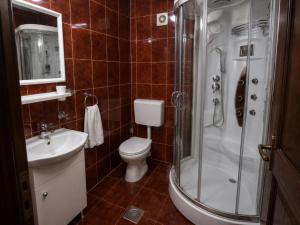 a bathroom with a toilet and a shower and a sink at Millenium Castle Sibiu - Parking on Site - BIKERS' Haven in the Heart of Romania's Legendary Roads - Rest in Comfort # in Sibiu +15 photos