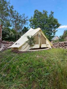 a tent sitting in the grass in a field at Matevosyans Guest House in Goris
