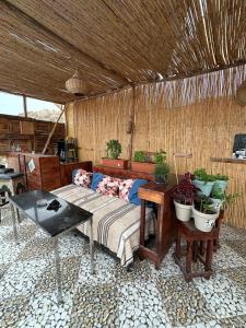 a room with a couch and a table with potted plants at DAR SANAE SURF in Aourir