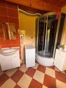 a bathroom with a sink and a toilet and a mirror at Domek Jaśka in Baligród
