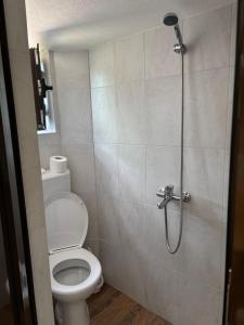 a bathroom with a toilet and a shower at Vila Luminis in Seone +15 photos
