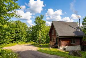 a log cabin in the woods with a gravel road at Le Bois Dormant - Spa, Fireplace, Pool, Lake, Tennis in Lac-Superieur