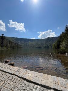 a view of a lake with mountains in the background at Apartmán Špičák in Špičák