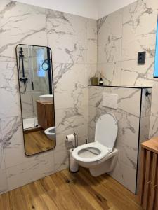 a bathroom with a toilet and a mirror at Apartmán Mnichov in Vrbno pod Pradědem +11 photos