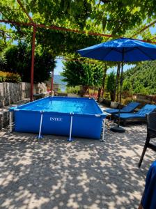 a large blue pool with an umbrella and a chair at Hana Skadar Lake - 200 metara do jezera in Prevlaka