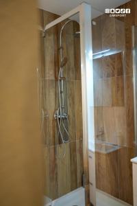 a shower in a bathroom with a toilet at Dahlia suite & spa in Nîmes