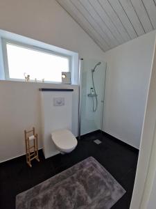 a bathroom with a toilet and a shower with a window at Wonderfully unique accommodation in Bålsta