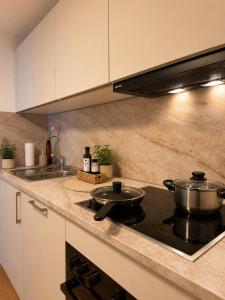 a kitchen with a stove with a pot on it at Modernes Appartement mit Balkon & Parkplatz - Waldshut-Tiengen in Waldshut-Tiengen