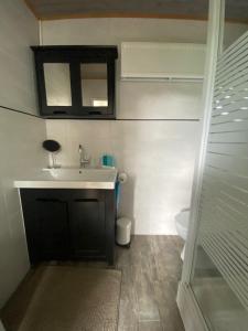 a bathroom with a sink and a toilet at B & Buitenlust in Schagerbrug +16 photos
