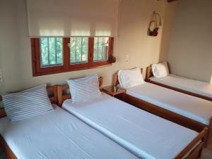 two beds in a room with two windows at Avra Ηouse in Kriopigi