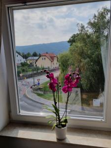 a flower in a vase sitting in a window at Apartma 8 in Pekre