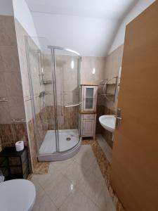 a bathroom with a shower and a toilet and a sink at Apartma 8 in Pekre