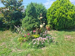 a garden with bushes and flowers in the grass at IVY Traditional House in Amigdhaleón