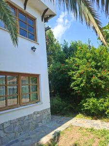a white house with windows and a tree at IVY Traditional House in Amigdhaleón
