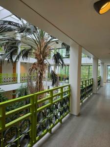 a hallway with a palm tree in a building at Kylpylä-Hotelli 364 in Ikaalinen +8 photos