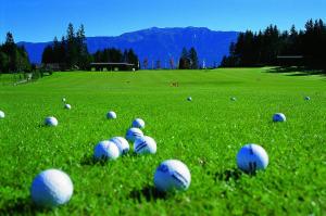 a bunch of balls in the grass on a field at Petersenhof in Millstatt +13 photos