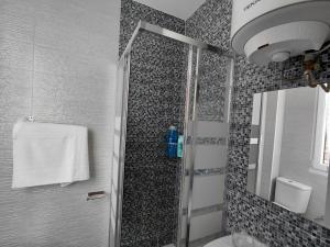 a bathroom with a shower and a toilet and a mirror at Rua de Galicia 2 in Ribeira