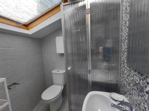 a bathroom with a toilet and a shower and a sink at Rua de Galicia 2 in Ribeira