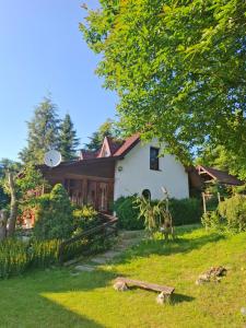 a white house with a yard with a tree at Agroturystyka Kalina Wielka in Kalina Wielka