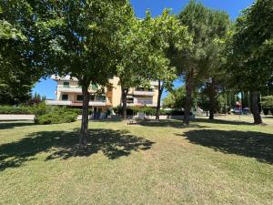 a tree in a park with a building in the background at Casa di Minù in Empoli
