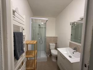 a bathroom with a shower and a toilet and a sink at Charmante petite maison - 2 chambres in Homécourt +14 photos