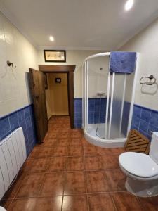 a bathroom with a shower and a toilet at Casa Aurea in Begíjar
