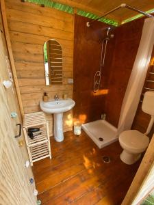 a bathroom with a sink and a toilet and a mirror at I Semplici Rural Glamping in Mercato San Severino