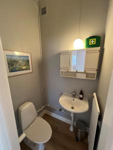 a small bathroom with a toilet and a sink at Anders-Pers, The apartment downstairs in Järvsö