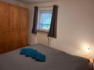 a bedroom with a bed with blue pillows on it at Ferienwohnung Wildgatter in Grafenwiesen