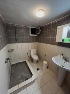 a bathroom with a shower and a toilet and a sink at Vouzianas home in Kefallonia +11 photos