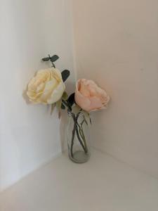 two roses in a vase on a wall at Pork pie pad in Melton Mowbray