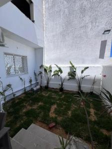 a courtyard with plants and a white wall at Résidences kenza in Kelibia