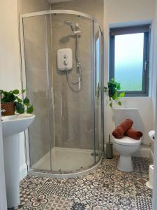 a bathroom with a shower and a toilet at Little Hills in Westport +23 photos