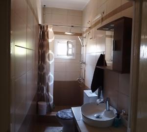 a small bathroom with a sink and a shower at Aloe in Olympiada +8 photos