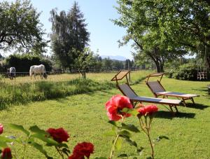 two chairs and flowers in a field with horses in the background at Ferienwohnungen Heissbauer in Wackersberg