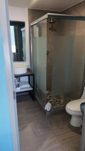 a bathroom with a shower and a toilet and a sink at Suites André Confort Ejecutivo in Aguascalientes +41 photos