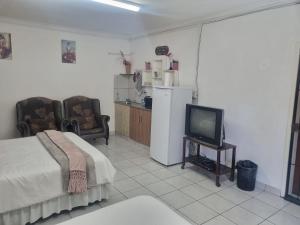 a bedroom with a bed and a tv and a kitchen at Green leaves in Mahikeng