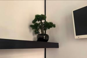 a plant sitting on a shelf next to a tv at Borgo Marsala in Trani