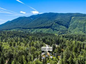 an aerial view of a forest with mountains at Rainier Spa Cabin 7 Minutes to Park in Ashford