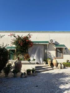 a building with potted plants in front of a building at Darelkhir in Tazarka +19 photos