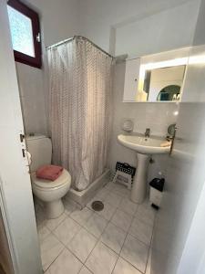 a bathroom with a toilet and a sink at LEFKADIOS HERN studios in Lefkada