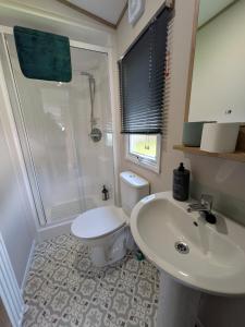 a bathroom with a sink and a toilet and a shower at Boat 32 in Boat of Garten +36 photos