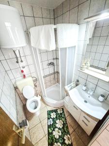 a bathroom with a toilet and a shower and a sink at Apartments Benkovic in Baška +18 photos