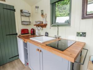 a kitchen with a sink and a counter at The Three Spaniels Shepherds Hut in Llanybyther