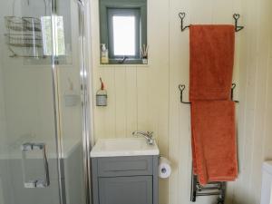 a bathroom with a sink and a shower at The Three Spaniels Shepherds Hut in Llanybyther