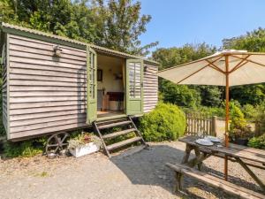 a tiny house with a picnic table and an umbrella at The Three Spaniels Shepherds Hut in Llanybyther