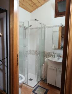 a bathroom with a shower and a toilet and a sink at La casetta dei carciofi in San Fratello +34 photos