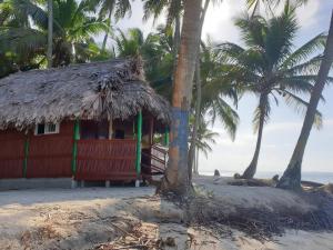 a small hut on the beach with palm trees at Cabañas frente al mar Isla de Guna Yala Aroma in Niatupo